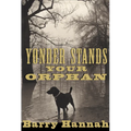 Yonder Stands Your Orphan