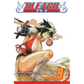 Bleach, Vol. 9