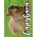The Capybara Cutie Club 2026 Calendar