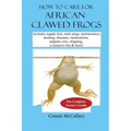 How to Care for African Clawed Frogs