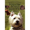 Follow What Leader?: A Logical Look at the Lessons of Leadership