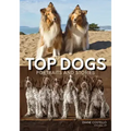 Top Dogs: Portraits and Stories