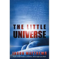 The Little Universe