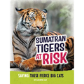 Sumatran Tigers at Risk: Saving These Fierce Big Cats