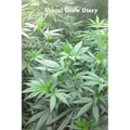 Visual Grow Diary