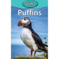 Puffins