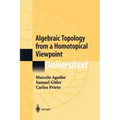 Algebraic Topology from a Homotopical Viewpoint