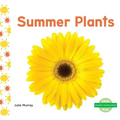 Summer Plants