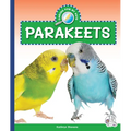 Parakeets