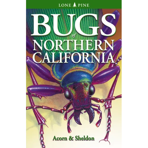 Bugs of Northern California