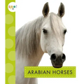 Arabian Horses