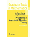 Problems in Algebraic Number Theory