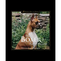The Boxer: Family Favorite