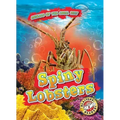 Spiny Lobsters