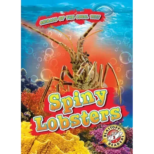 Spiny Lobsters
