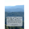 The Edge of Forgiveness on Blue Mountain: Book Two in the Lost in the Adirondacks Series