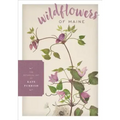 Wildflowers of Maine