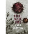 Burnt Black Suns: A Collection of Weird Tales