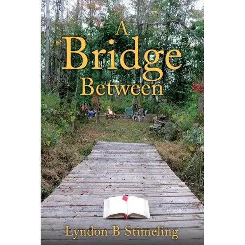 A Bridge Between