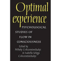 Optimal Experience: Psychological Studies of Flow in Consciousness