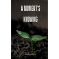A moment's knowing