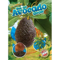 See an Avocado Grow
