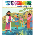 Celebrate Wonder Bible Storybook