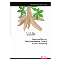 Dangerous Harvest: The Environmental Perils of ​​​​​​​Cassava Processing