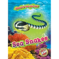 Sea Snakes