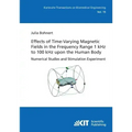 Effects of Time-Varying Magnetic Fields in the Frequency Range 1 kHz to 100 kHz upon the Human Body: Numerical Studies and Stimulation Experiment