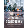 Juvenile Delinquency: Why Do Youths Commit Crime?