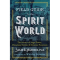 Field Guide to the Spirit World: The Science of Angel Power, Discarnate Entities, and Demonic Possession