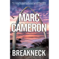 Breakneck: A Captivating Novel of Suspense