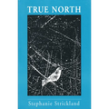 True North