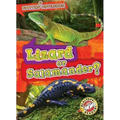 Lizard or Salamander?