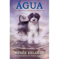 Agua, the Mysterious Portuguese Water Dog