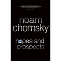 Hopes and Prospects
