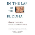 In the Lap of the Buddha