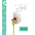 Wind