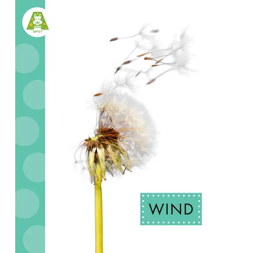 Wind