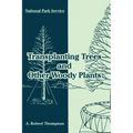 Transplanting Trees and Other Woody Plants