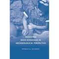 Ancestral Maya Economies in Archaeological Perspective
