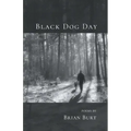 Black Dog Day