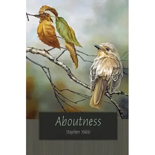 Aboutness