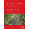 ¡El Yunque se levanta!: Interdisciplinarity and activism at the La Mina petroglyph site