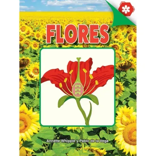 Flores: Flowers
