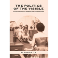 The Politics of the Visible in Asian North American Narratives