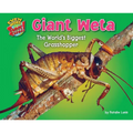 Giant Weta: The World's Biggest Grasshopper