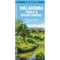Oklahoma Trees & Wildflowers: An Introduction to Familiar Species