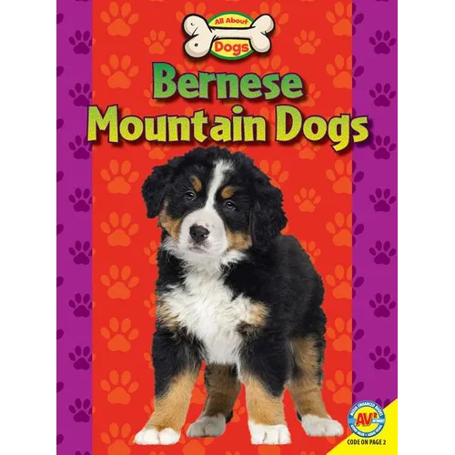 Bernese Mountain Dogs